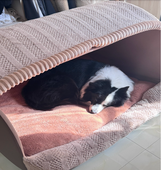 Eco-friendly Sleep Pet House