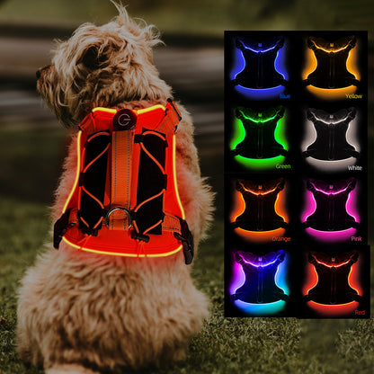 Anti-Pulling Dog Harness with LED Night Light