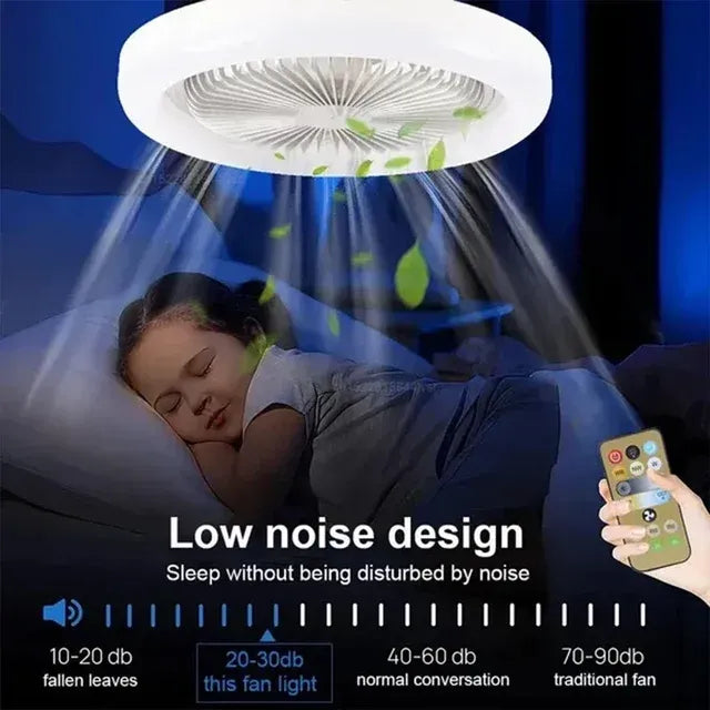 Ceiling Fan With Light