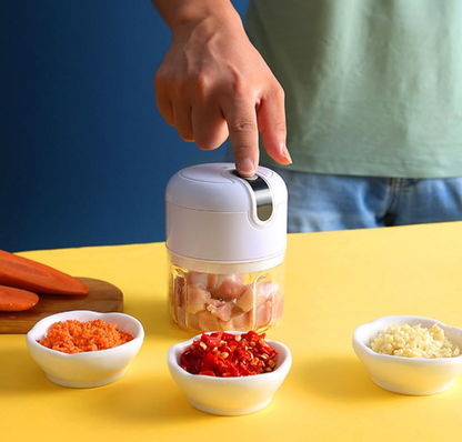 Electric Mini Chopper