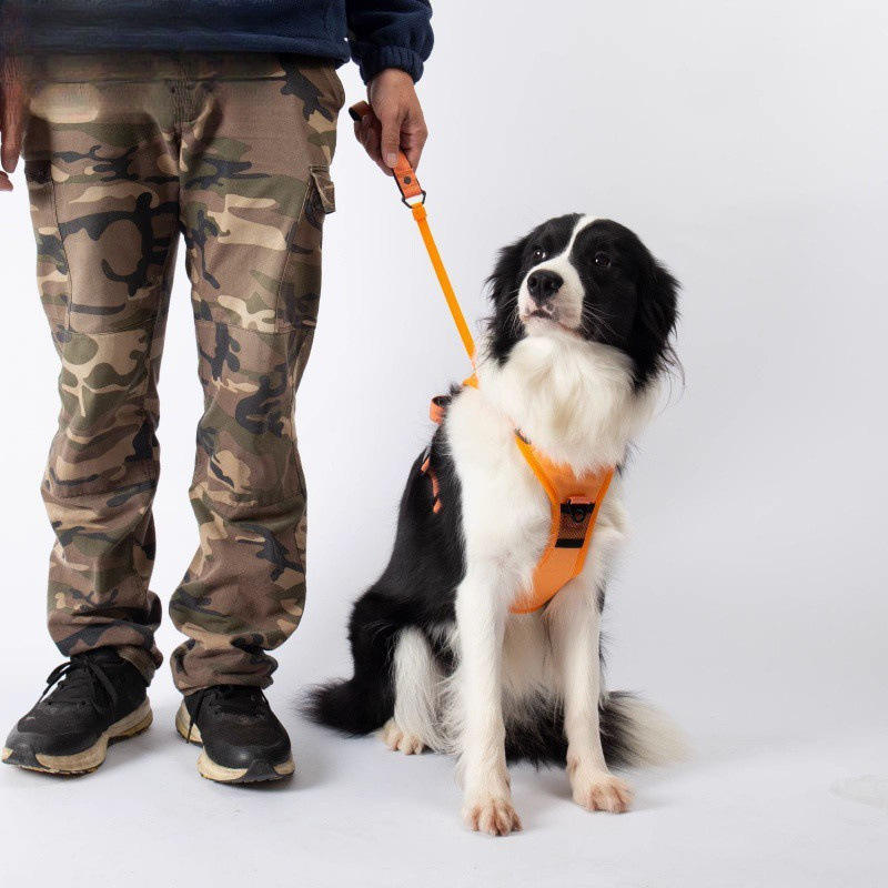 Retractable Reflective Dog Harness