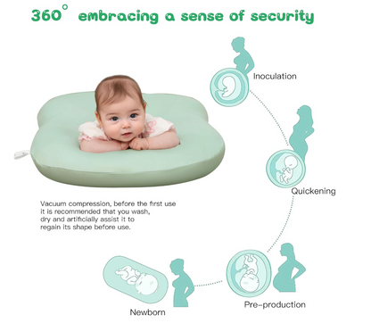 Infant Support Cushion