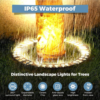 Outdoor Ring Tree Light