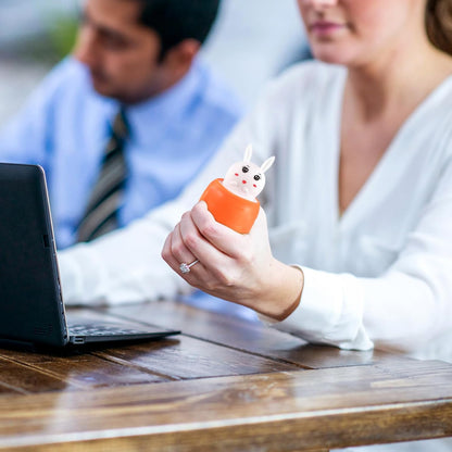 Pop Up Carrot Rabbit Toy | Buy 1 Get 1 Free