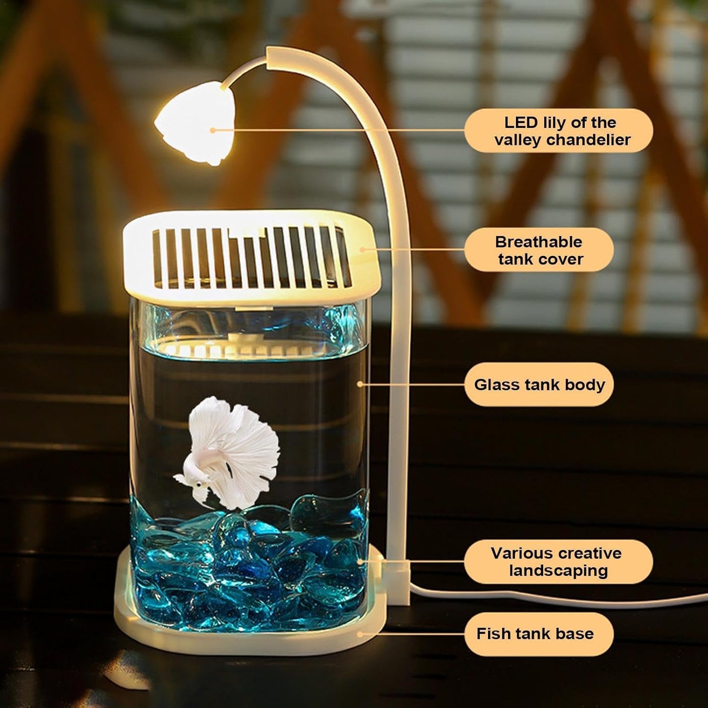 Mini Desktop Decorative Fish Tank