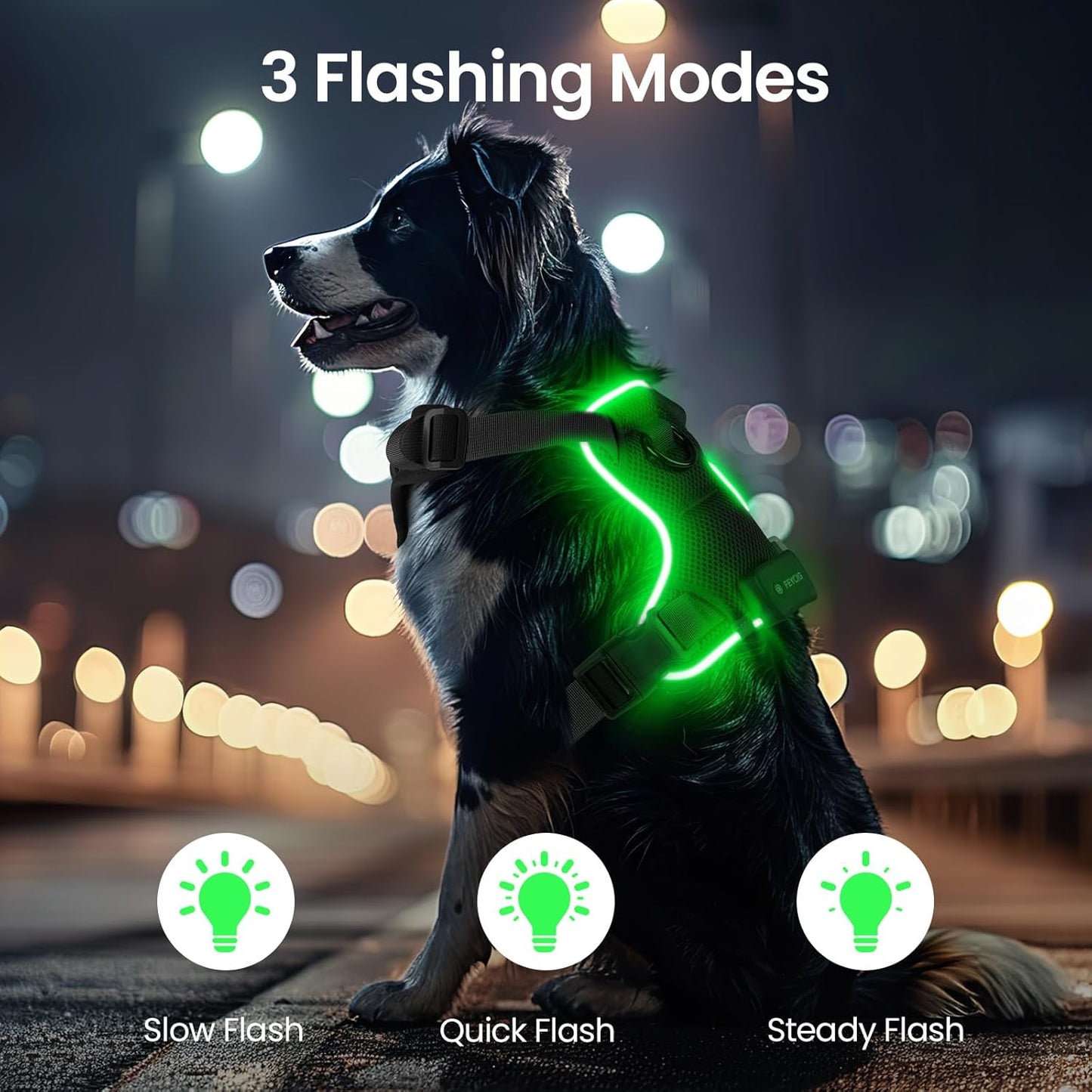 Anti-Pulling Dog Harness with LED Night Light
