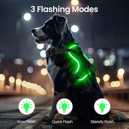 Anti-Pulling Dog Harness with LED Night Light