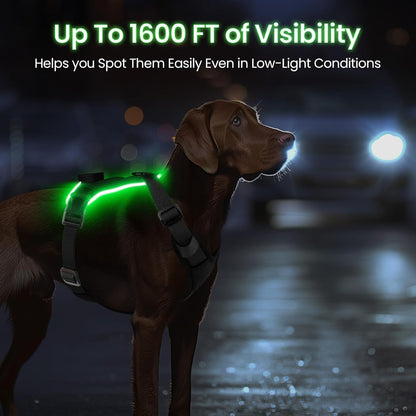 Anti-Pulling Dog Harness with LED Night Light