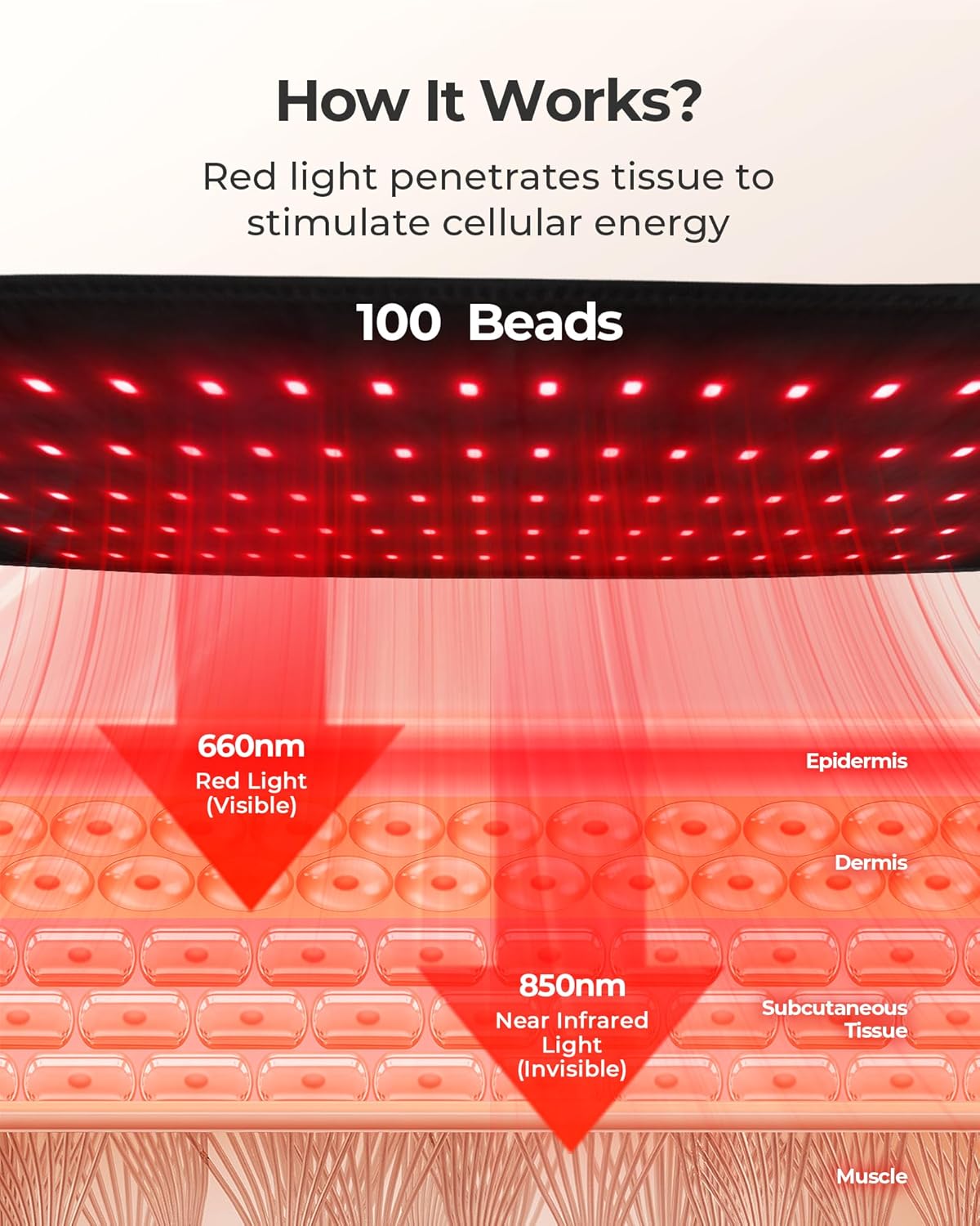 Rechargeable Massage Belt with Red Light Therapy