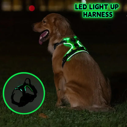 Anti-Pulling Dog Harness with LED Night Light