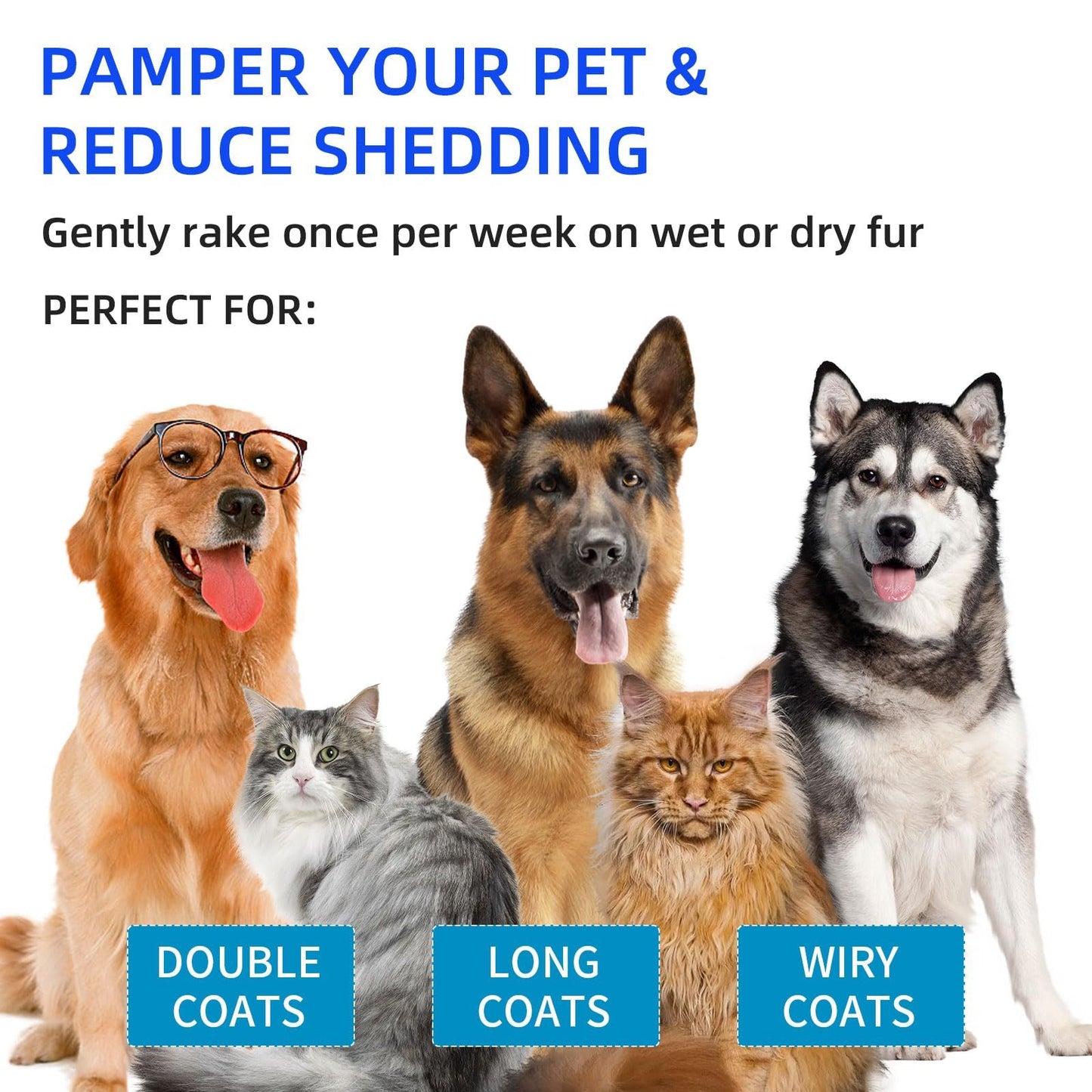 Pet Spray Hair Removal Comb