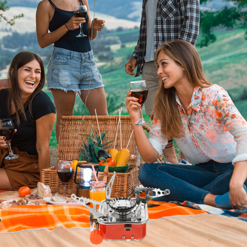 Portable Steel Gas Stove