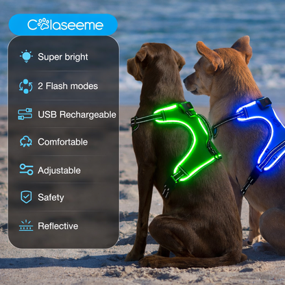 Anti-Pulling Dog Harness with LED Night Light