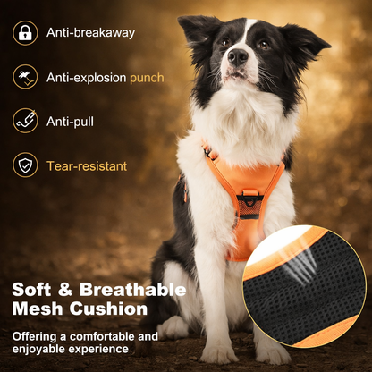 Retractable Reflective Dog Harness
