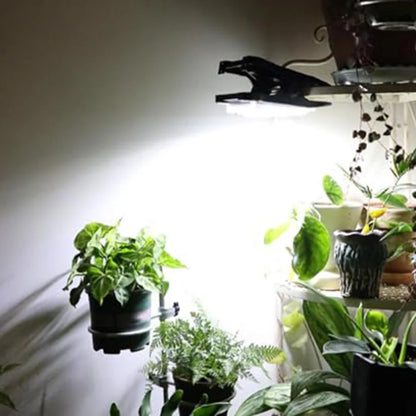 Solar Power Clip On Motion Sensor LED Light