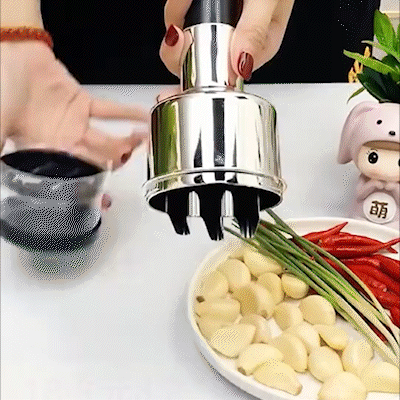 Vegetable Hand Press Chopper With Free Container