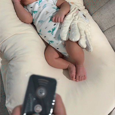 Rechargeable Baby Patter Palm With Remote