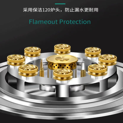 Stainless Steel Electric Burner Cooking Gas Stove