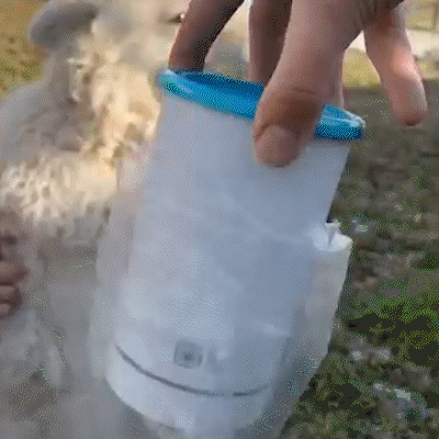 Automatic Dog and Cat Paw Washer