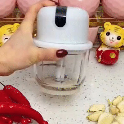 Rechargeable Electric Chopper