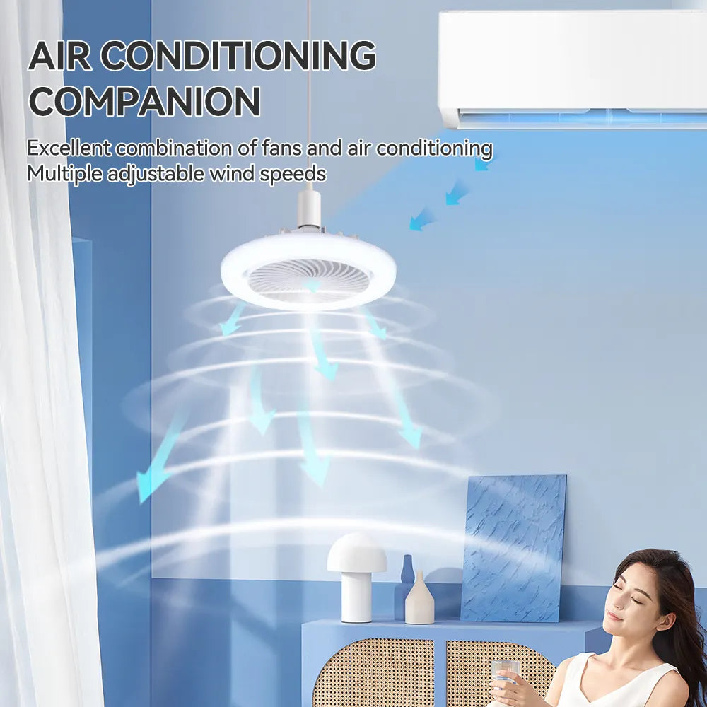 Ceiling Fan With Light