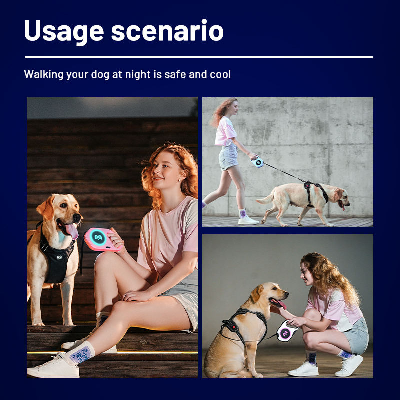 Retractable LED Dog Leash with Flashlight