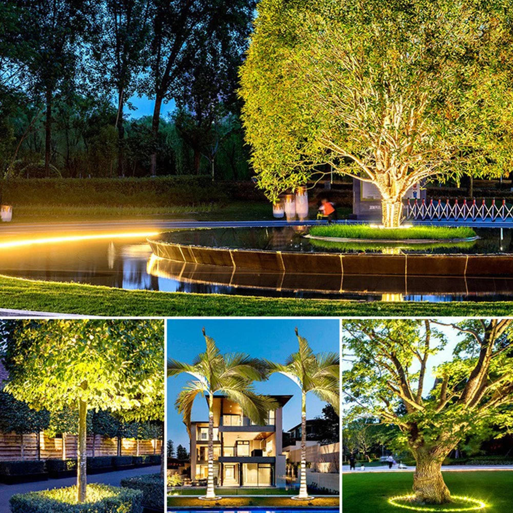 Outdoor Ring Tree Light
