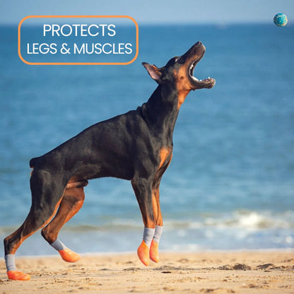 Dog Paw Protection Shoes - (Pack of 4)