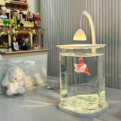 Mini Desktop Decorative Fish Tank