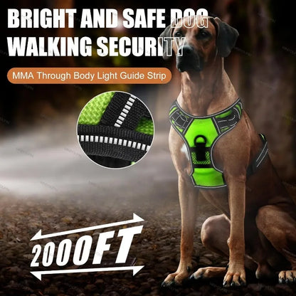Anti-Pulling Dog Harness with LED Night Light