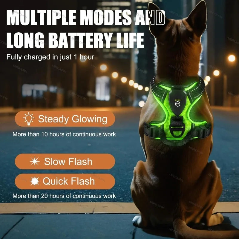 Anti-Pulling Dog Harness with LED Night Light