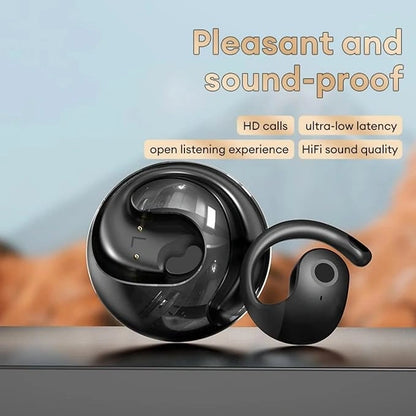 AI Voice Translating Earbuds