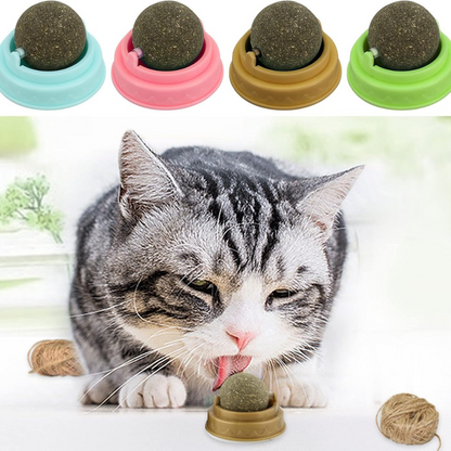 Catnip Wall-Mounted Treat Ball