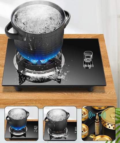 Stainless Steel Electric Burner Cooking Gas Stove