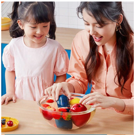 Capsule Fruit and Vegetable Purifier