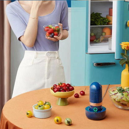 Capsule Fruit and Vegetable Purifier