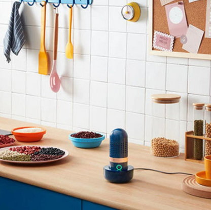 Capsule Fruit and Vegetable Purifier