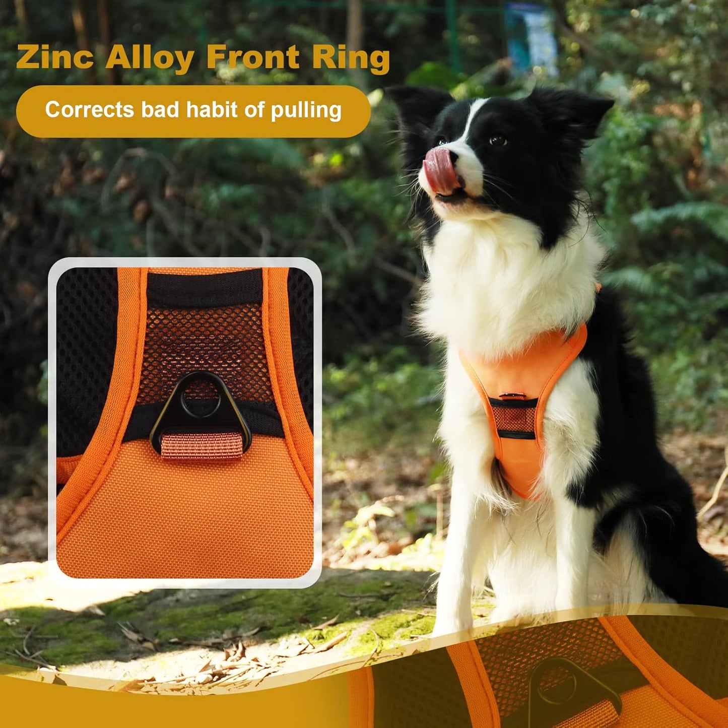 Retractable Reflective Dog Harness