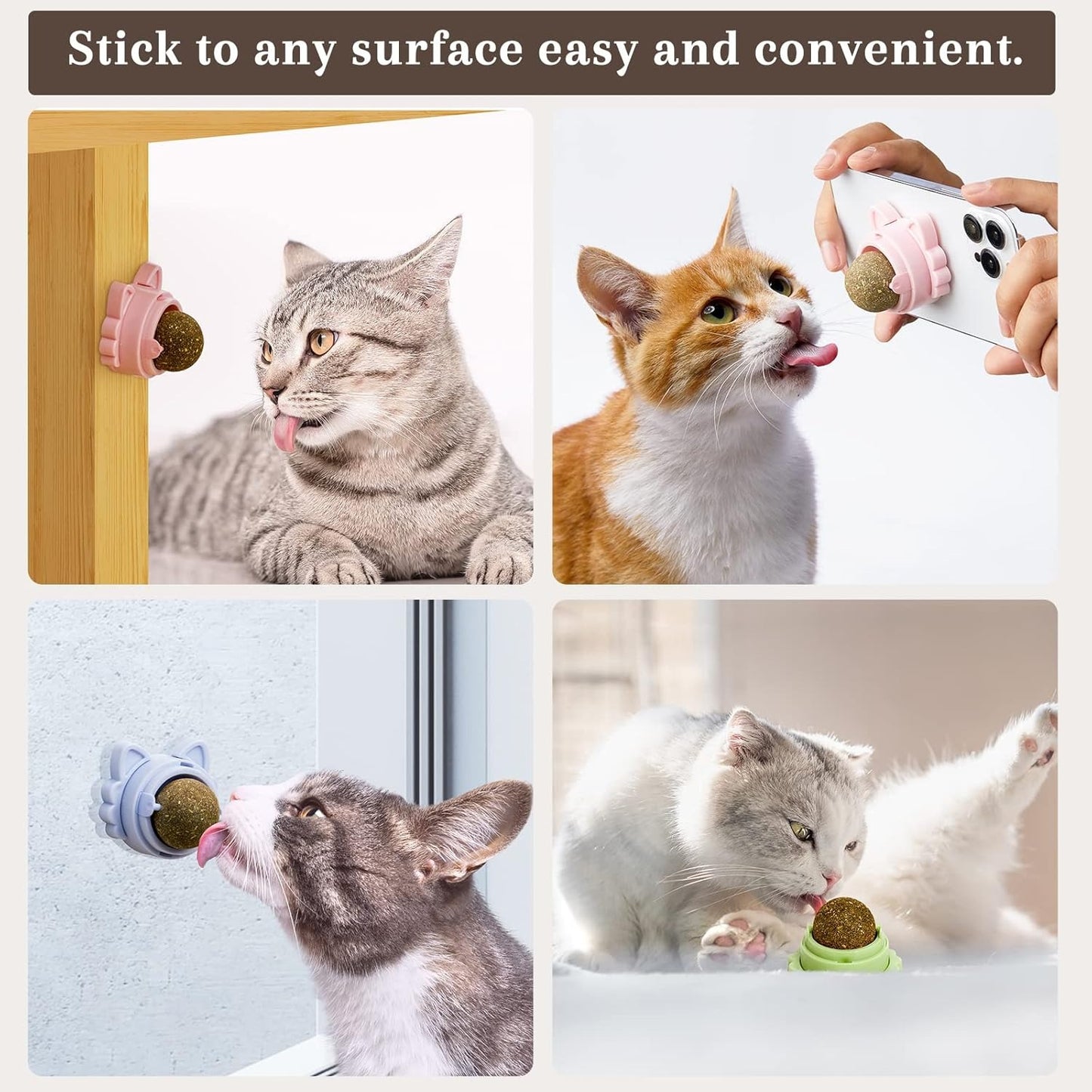 Catnip Wall-Mounted Treat Ball