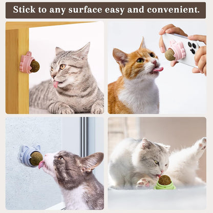 Catnip Wall-Mounted Treat Ball