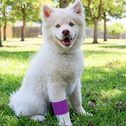 Self Adhesive Bandage Wrap