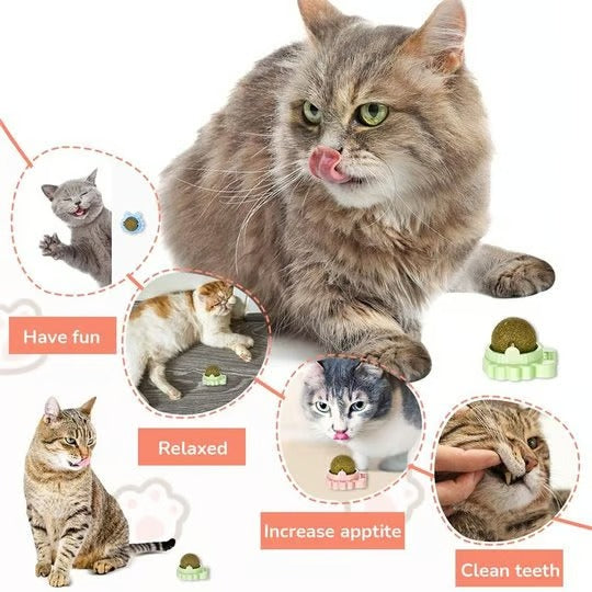 Catnip Wall-Mounted Treat Ball