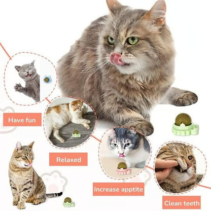 Catnip Wall-Mounted Treat Ball