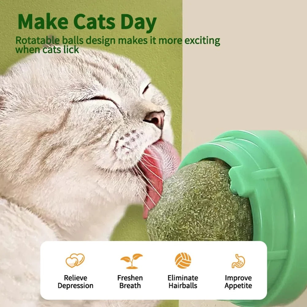Catnip Wall-Mounted Treat Ball