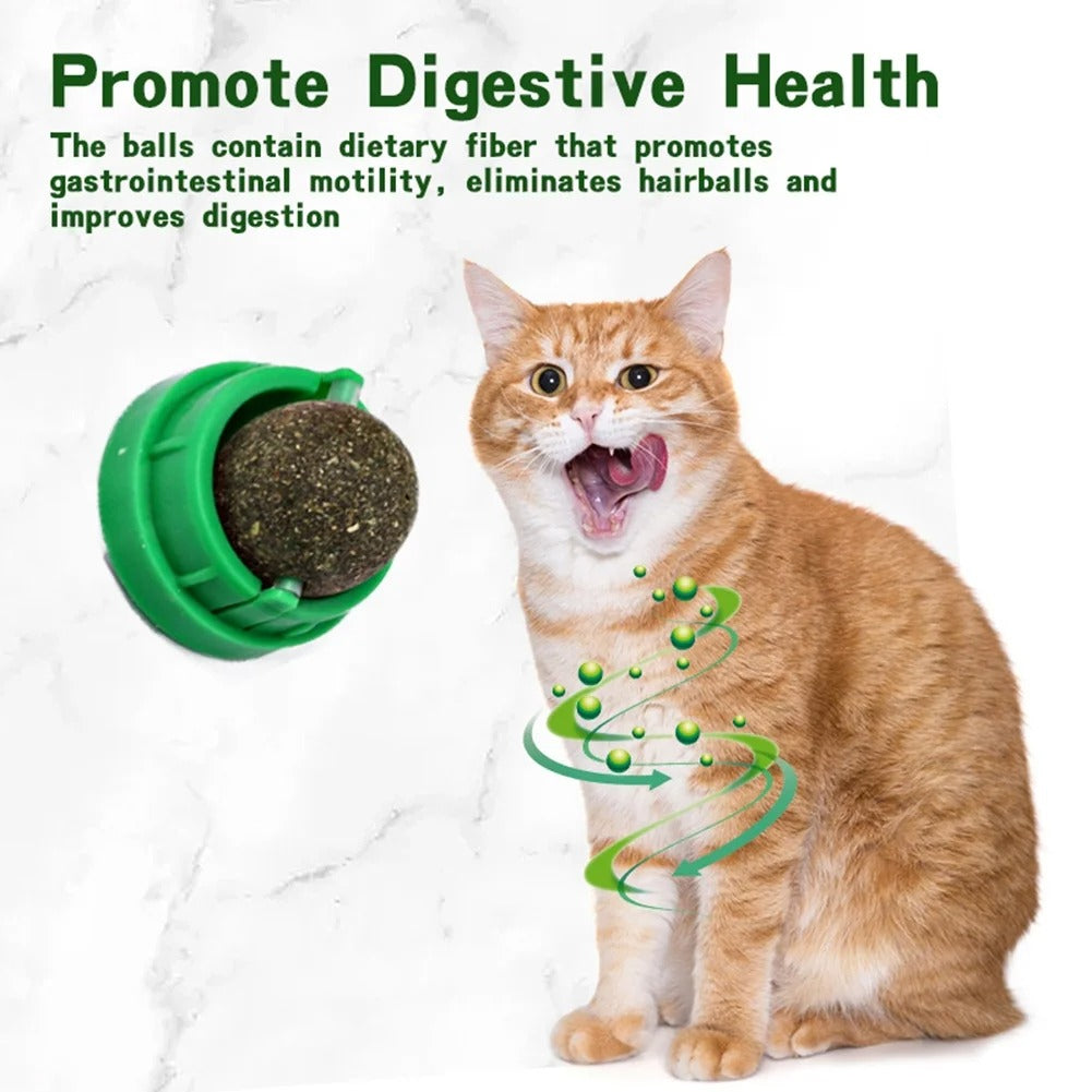 Catnip Wall-Mounted Treat Ball