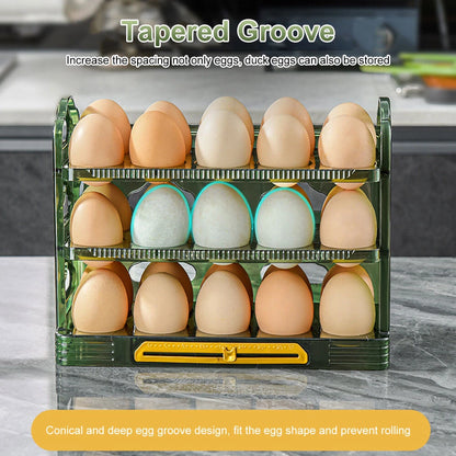 Refrigerator Egg Holder Tray